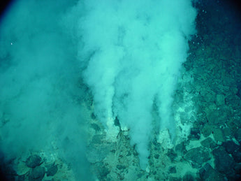Hydrothermal Vents: Discovering Unique Deep-Sea Environments
